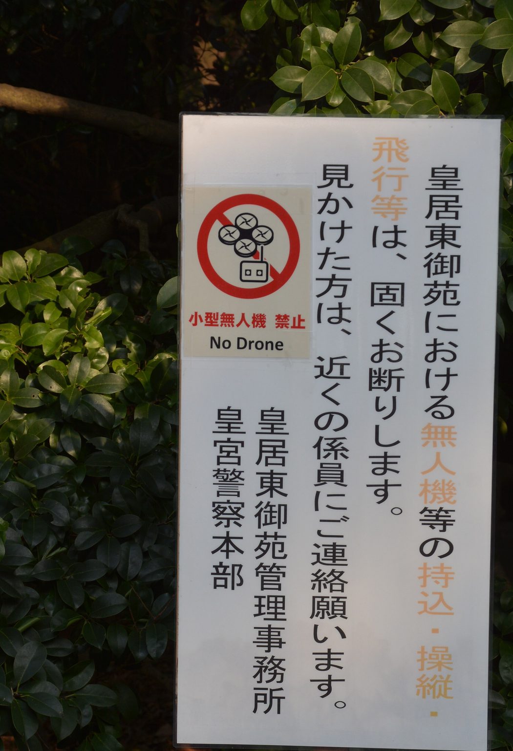 A white upright notice board in front of a hedge, its vertical Japanese text stating that bringing in, operating or flying unmanned aircraft in the Imperial Palace East Gardens is firmly refused and asking anyone who sees one to contact a nearby member of staff, signed by the East Gardens management office and the Imperial Guard Headquarters; a red circle-and-slash pictogram of a quadcopter sits at the upper left above the words No Drone