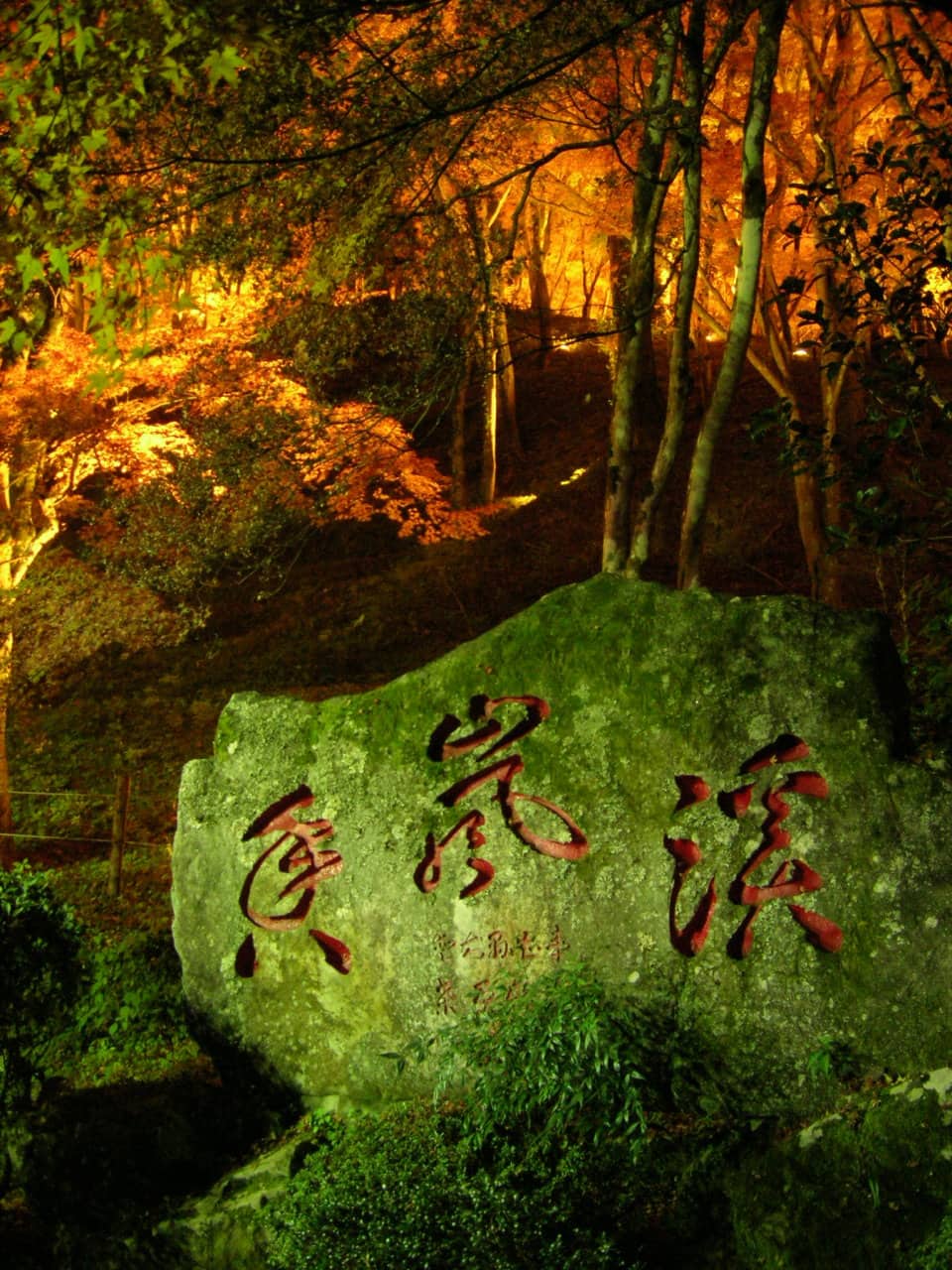 Korankei night illumination: a hillside of maples glows orange behind the stone monument carved with the gorge name
