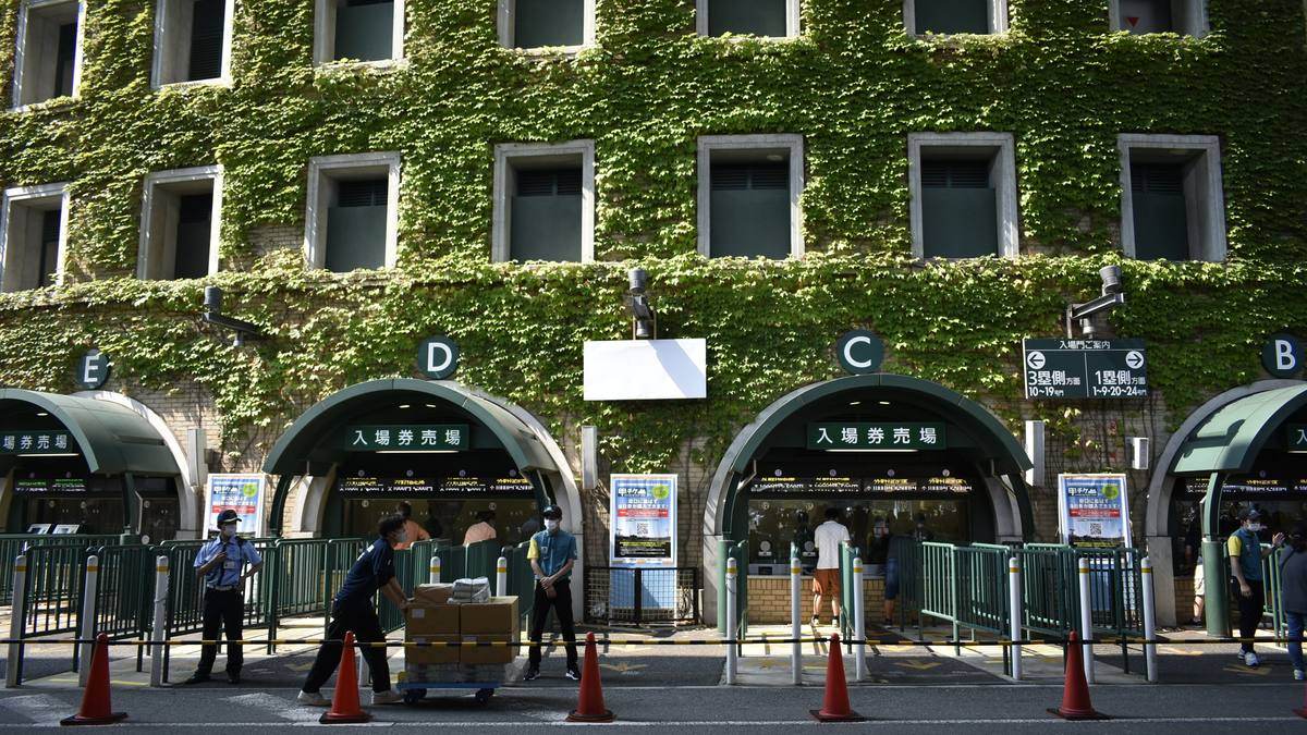 The exterior of Hanshin Koshien Stadium, its outer wall covered in dense dark green ivy, with the stadium name sign above the entrance and pedestrians and street trees in front