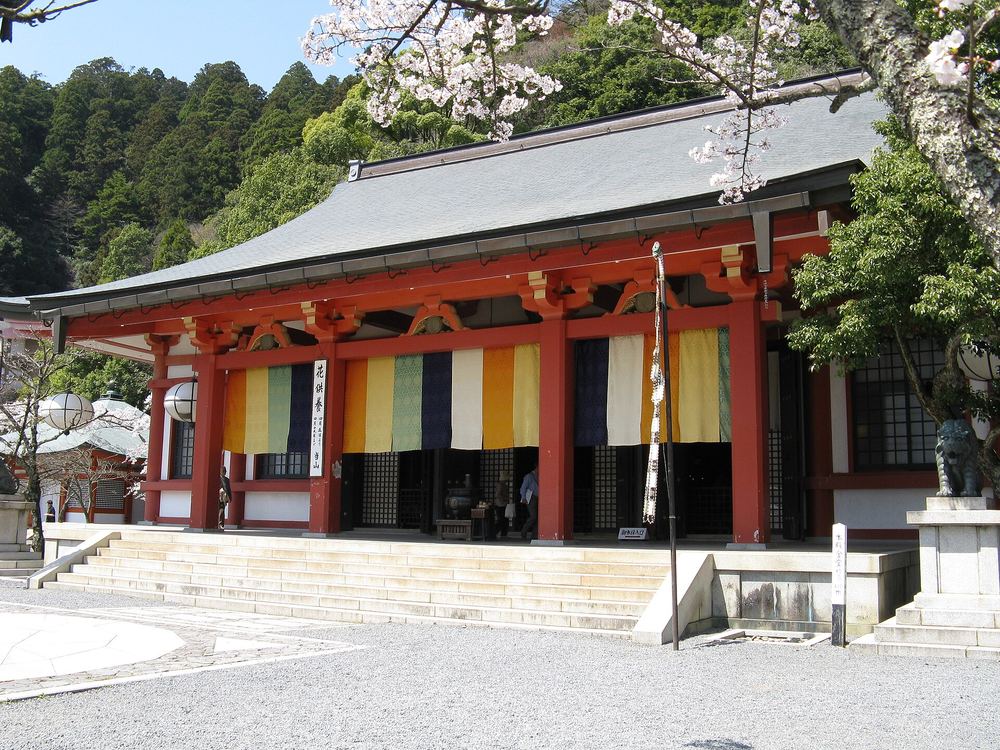 春天的鞍馬寺本殿金堂:朱紅柱子的大殿,屋簷下掛著黃、綠、藍、白相間的布幕,殿前一段寬石階,右上角有櫻花枝,背後是山林