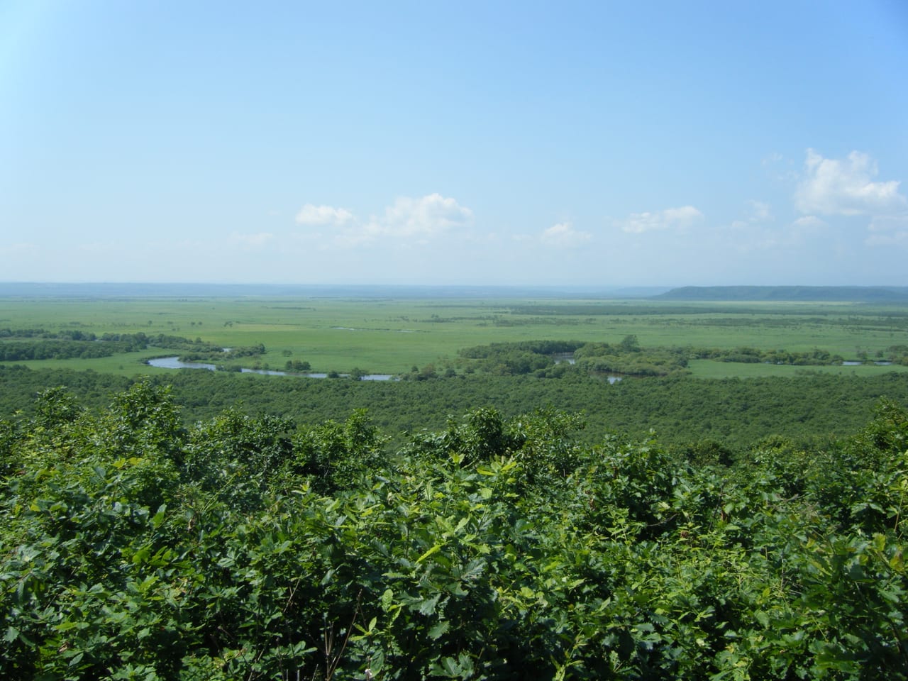 The endless Kushiro Marsh and the meandering Kushiro River seen from Hosooka Observatory