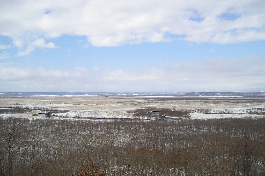The Kushiro wetlands in winter: snow-covered marshland scattered with frosted bare trees and a winding frozen river, low hills and a pale blue sky beyond