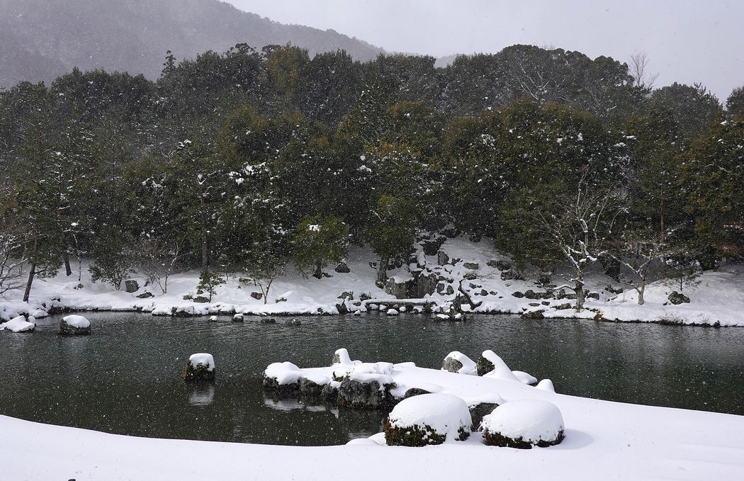 下雪中的天龍寺曹源池庭園：池水沒有結冰、映著對岸，池邊的岩石與苔地覆著一層雪，背後是嵐山的樹林與山稜，空中還有雪花在落，畫面裡沒有人
