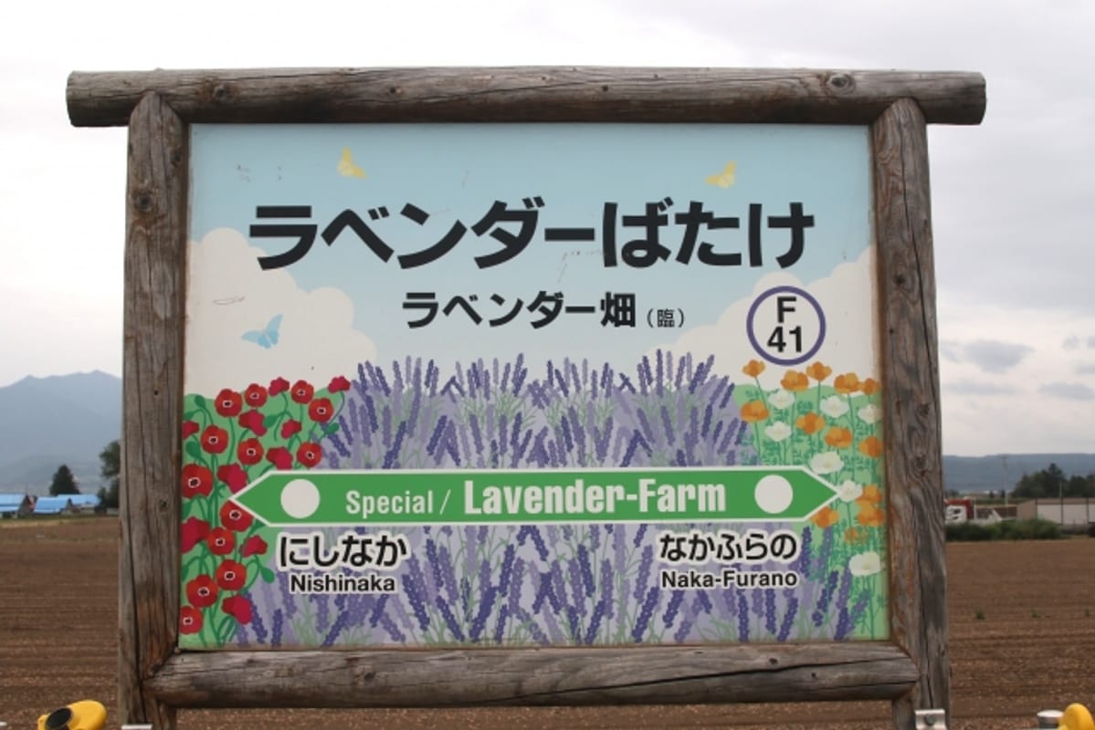 ラベンダー畑站站牌與背景的薰衣草田，Norokko 號季節限定停靠站