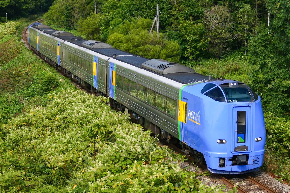 從高處俯拍藍色車頭的 キハ261 系特急サロベツ 4 號,四節銀色車廂沿著彎道穿過綠色樹林,鐵道旁開滿白色小花,夏天