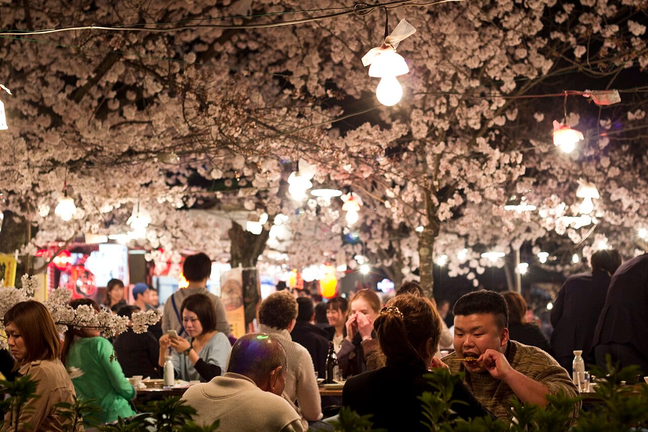 京都円山公園祇園枝垂櫻與花見人群