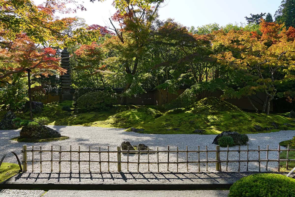円通院枯山水庭園,白砂苔庭周圍紅葉正在轉色