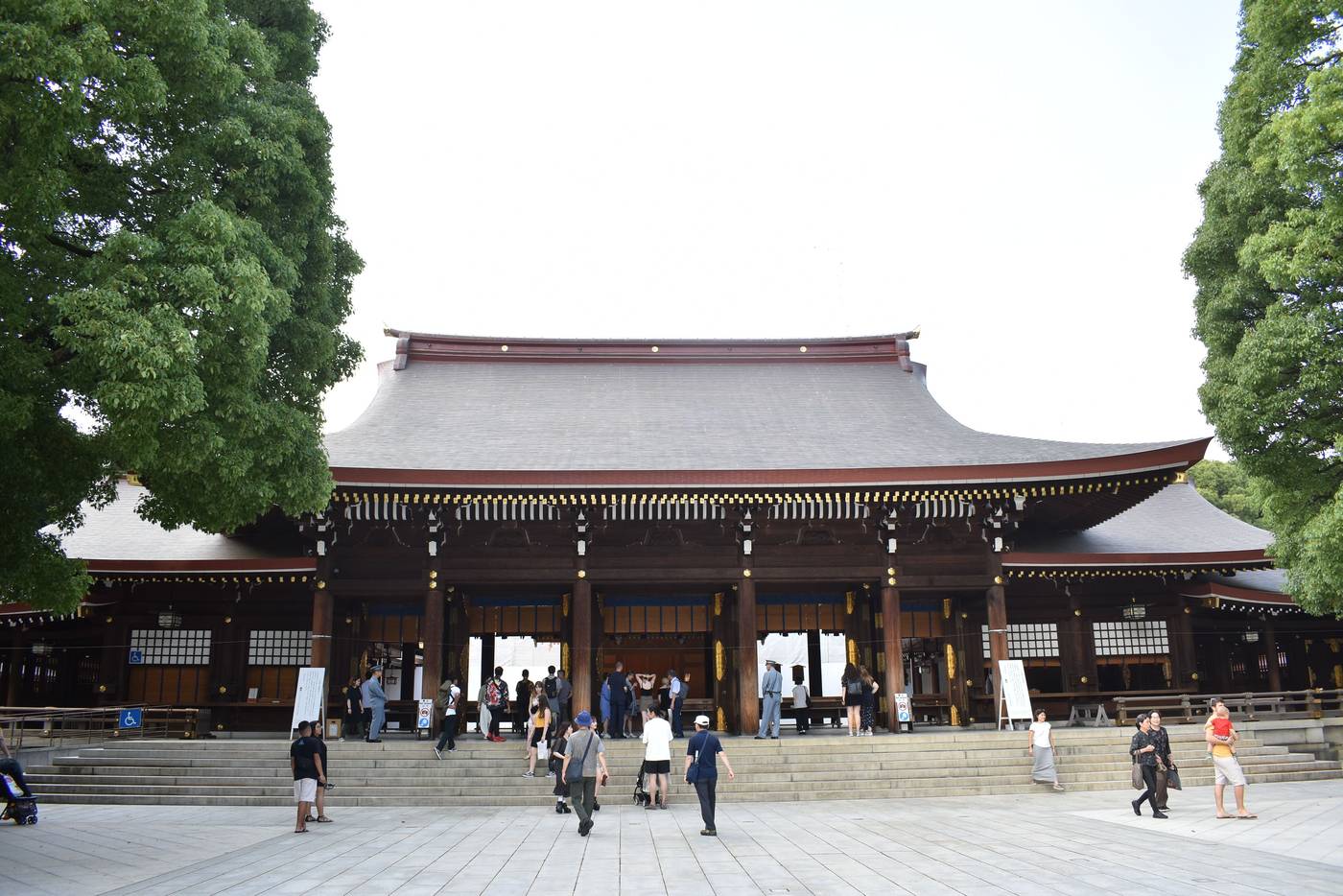 Frontal view of the Meiji Shrine main worship hall flanked by camphor trees