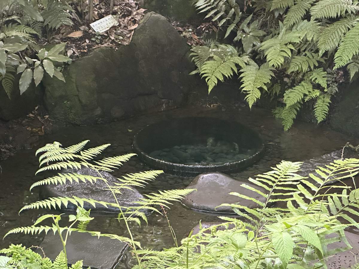 Kiyomasa's Well, a round spring basin surrounded by ferns and mossy rocks