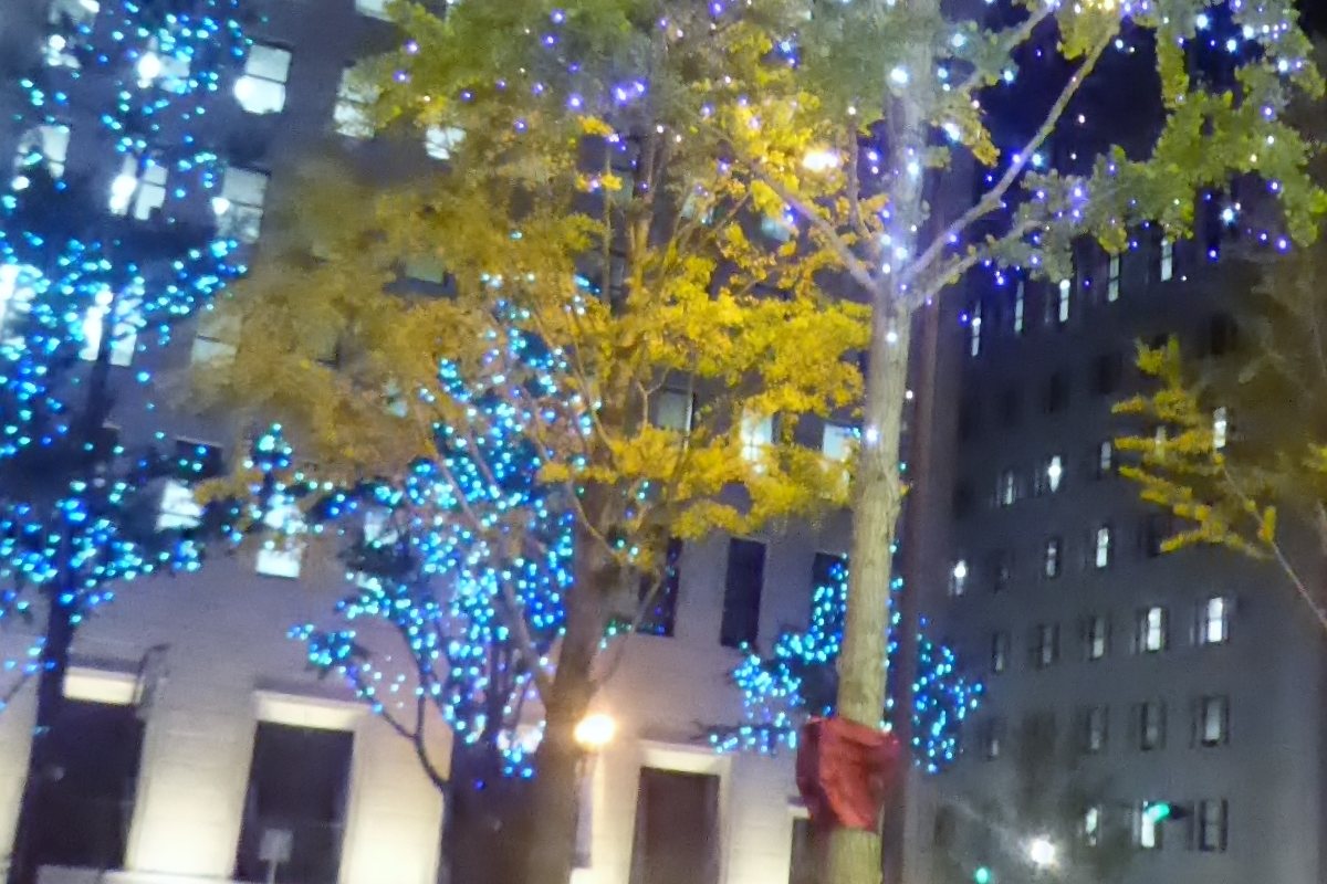 Close-up of a Midosuji street tree with LED strings coiled around the trunk and branches, gold ginkgo leaves showing between the blue points of light
