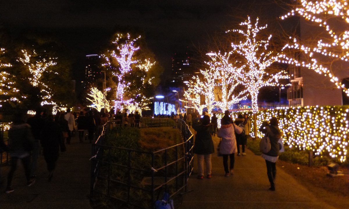 A path beside the Tokyo Midtown garden: trees and hedges on both sides covered in warm white bulbs, one tree lit purple, and a crowd walking toward the garden