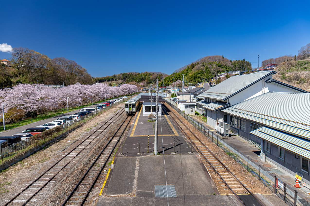 從天橋俯瞰 JR 三春駅:兩條月台中間停著一節黃綠條紋的柴油車,右側是灰色屋頂的站舍,左側停車場旁有一整排開花的櫻樹,遠方是丘陵