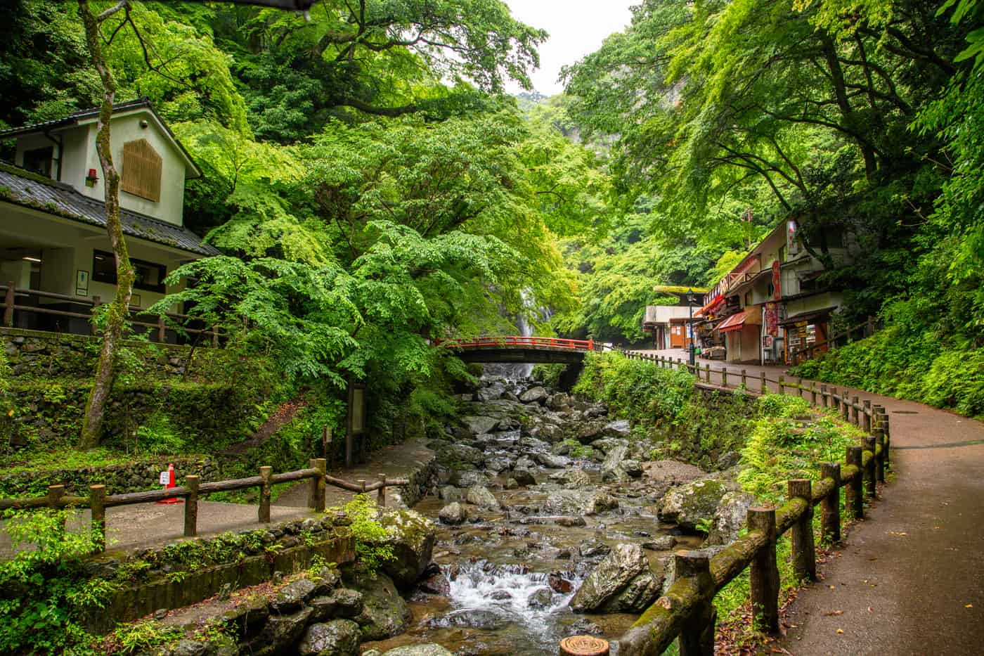 箕面滝道沿溪谷的遊步道實景，朱紅小橋與茶屋店家、夏季新綠