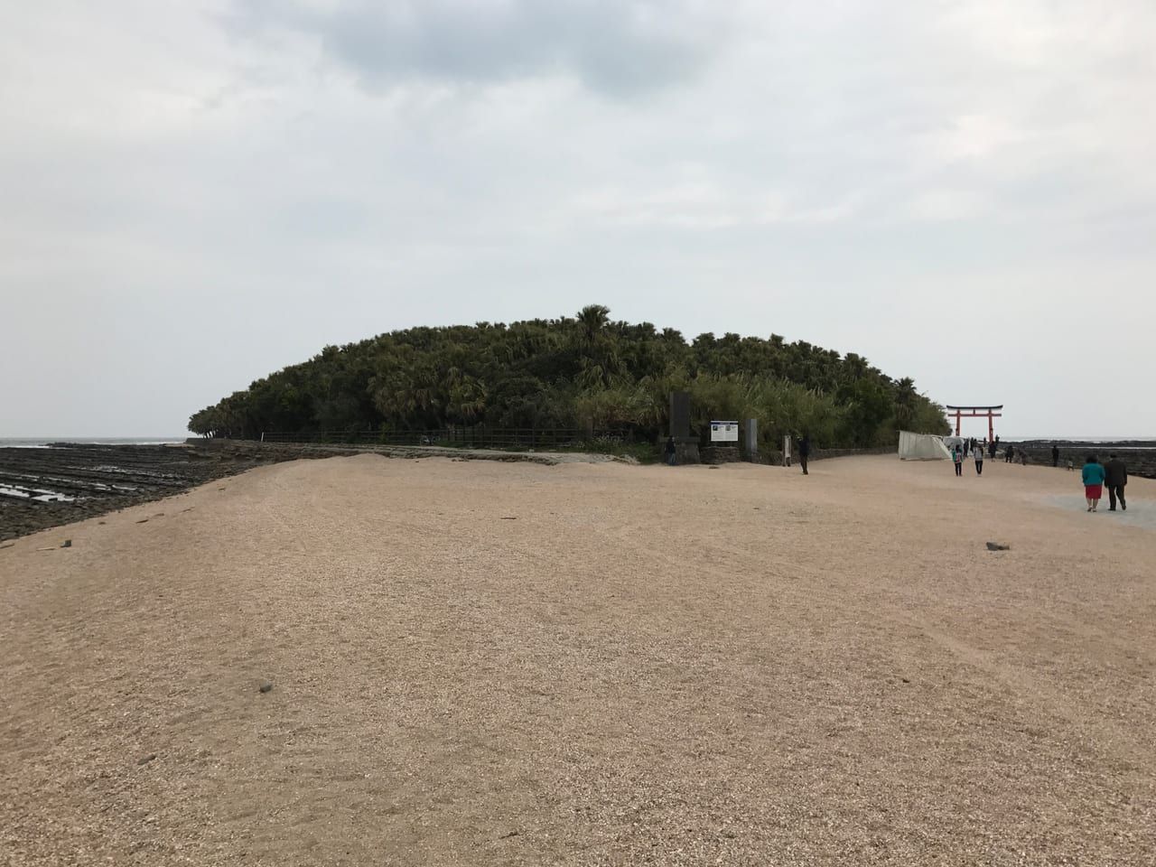 Aerial view of Aoshima island ringed by the Devil's Washboard wave-cut rock platform in Miyazaki