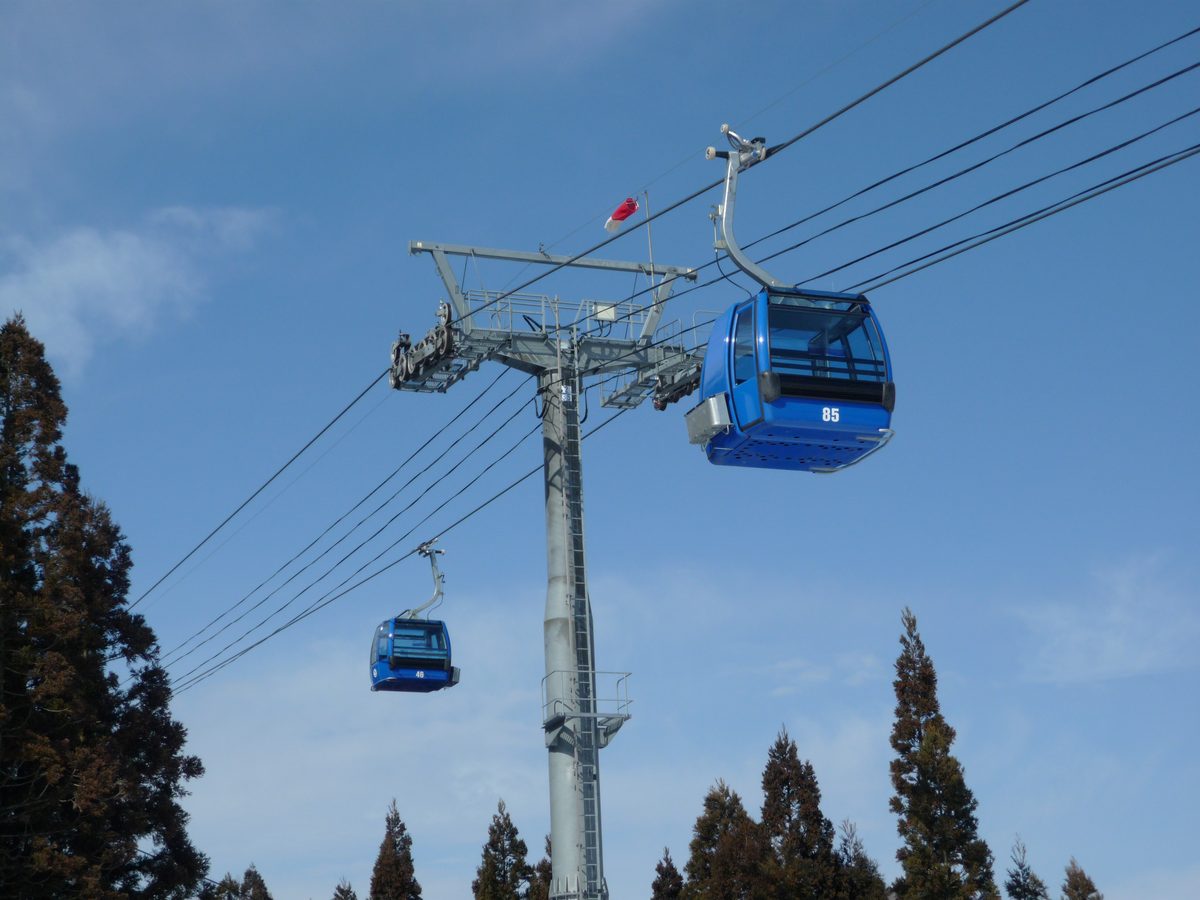 兩台藍色的纜車車廂掛在鋼索上,車身編號 85 和 46,中間是一根灰色的纜車支柱,背景是藍天,下方是杉樹樹梢