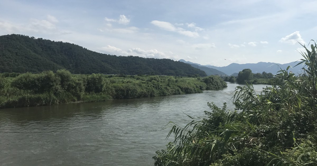 千曲川篠ノ井一帶的河面:寬闊的灰綠色河水往遠方彎去,對岸是一整片茂密的綠色灌叢與低矮的山,右前方是蘆葦