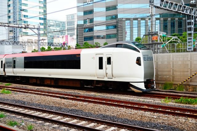 N'EX (Narita Express) train at platform — the primary route from Narita Airport to central Tokyo