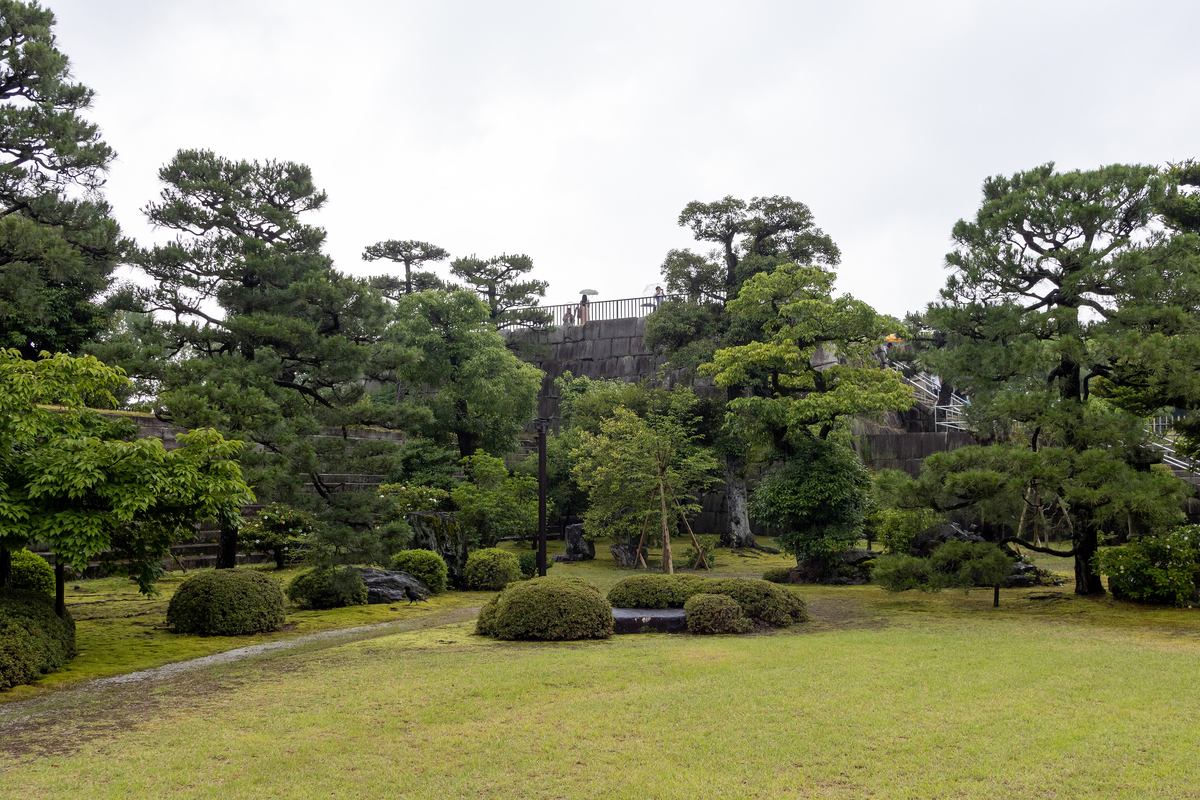二條城本丸庭園:大片草坪與修剪成圓形的灌木,四周是松樹,後方高起的石垣是天守台,台上有小小的人影