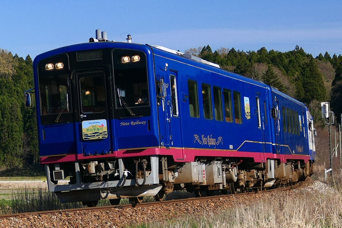 The deep blue Noto Satoyama Satoumi sightseeing railcar running on single track, a blue and gold headboard on the front, gold Noto Railway lettering and a pink stripe along the body, with cedar forest and dry grass behind it under a clear sky