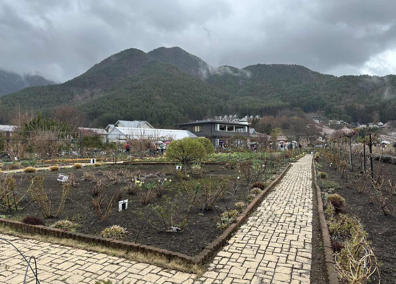 河口湖大石公園沿湖花街道步道，可望富士山