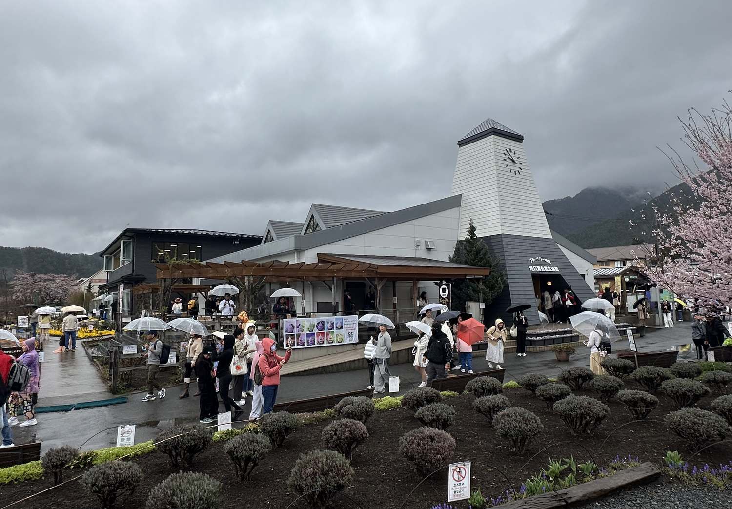 河口湖自然生活館建築外觀，園內免費入館的賞景與商店設施