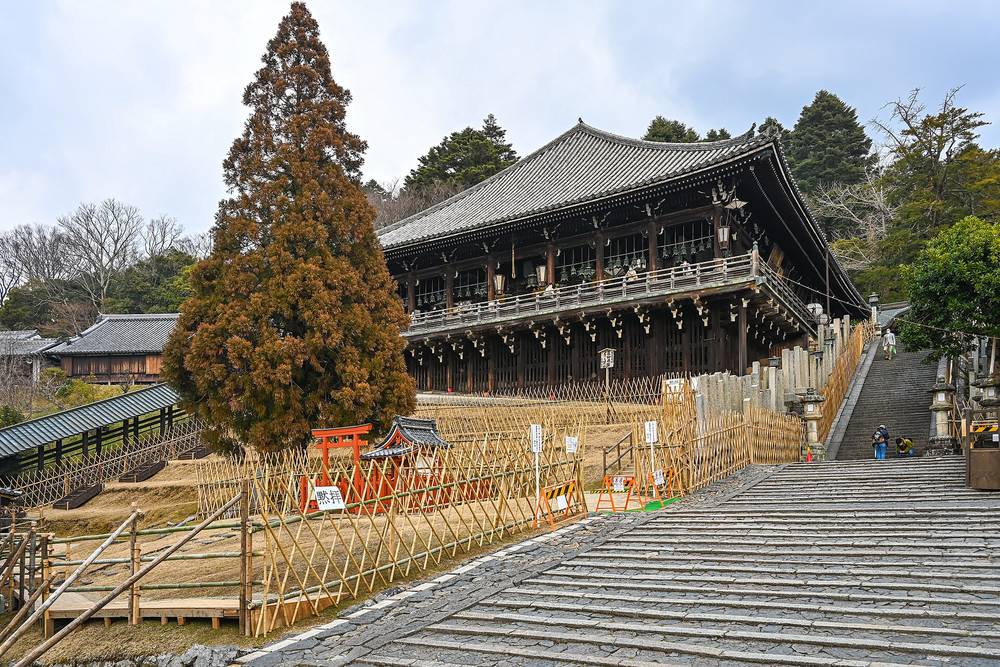 陰天白天從石階下方看東大寺二月堂:本堂架在石垣上,二樓一圈木欄杆;堂前整片枯黃的草坡用交叉的竹柵分隔成好幾層,草坡左前方有紅色小鳥居與小祠,祠前貼著「黙拝」;右邊是一段長石階直通二月堂,柵欄邊立著白色告示牌與黃黑相間的路障