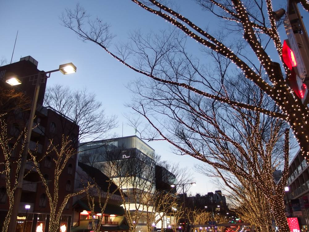 Omotesando's Christmas illumination stretching down the tree-lined avenue at night