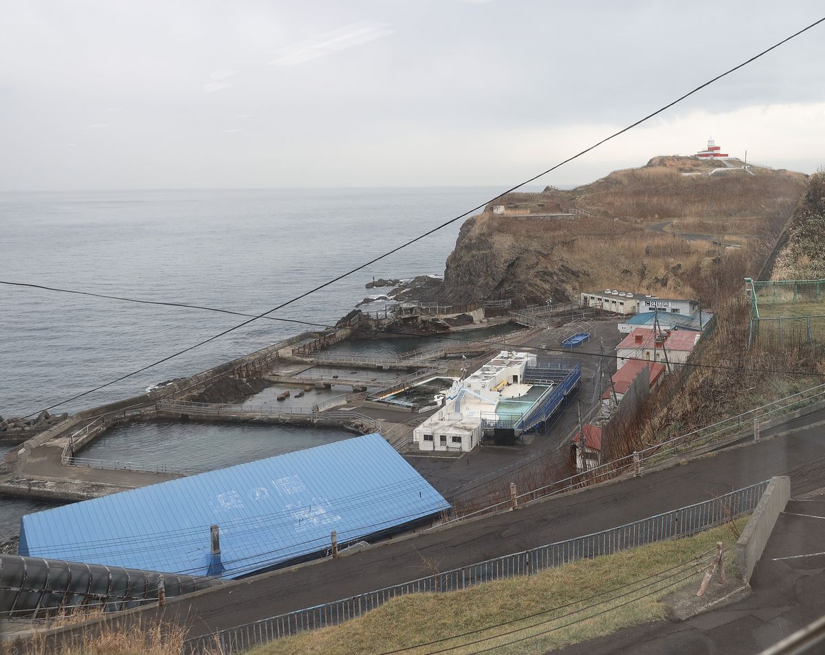 從小樽水族館本館窗戶往下看海獸公園：海邊用堤防圍出的幾個海水池、白色表演台與藍色屋頂建築，後方是日和山燈塔所在的岬角，園區裡沒有遊客