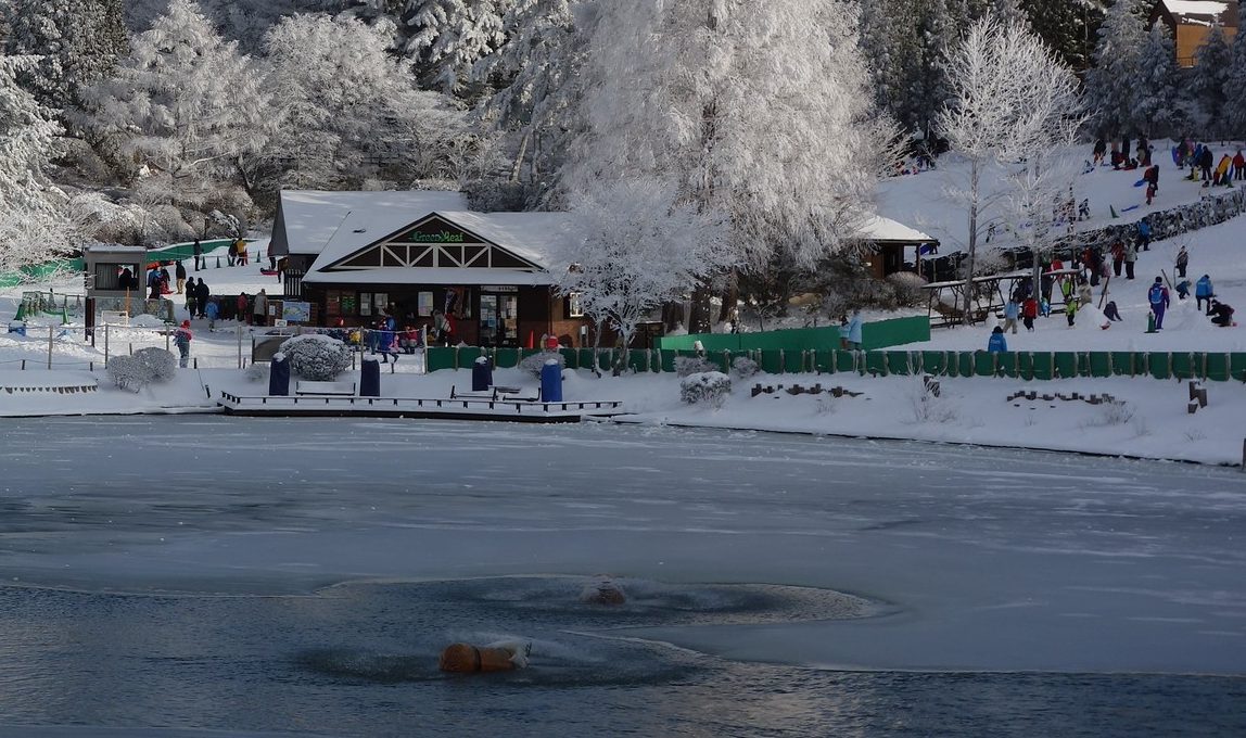 2014 年 2 月六甲山スノーパーク的池邊：右側積雪的緩坡上有十多位遊客帶著藍色、紅色的雪盆玩雪，坡下是一排綠色圍籬，中間是屋頂積雪的木造小屋，後方的樹全掛著白色霧冰，前景是結冰的池面