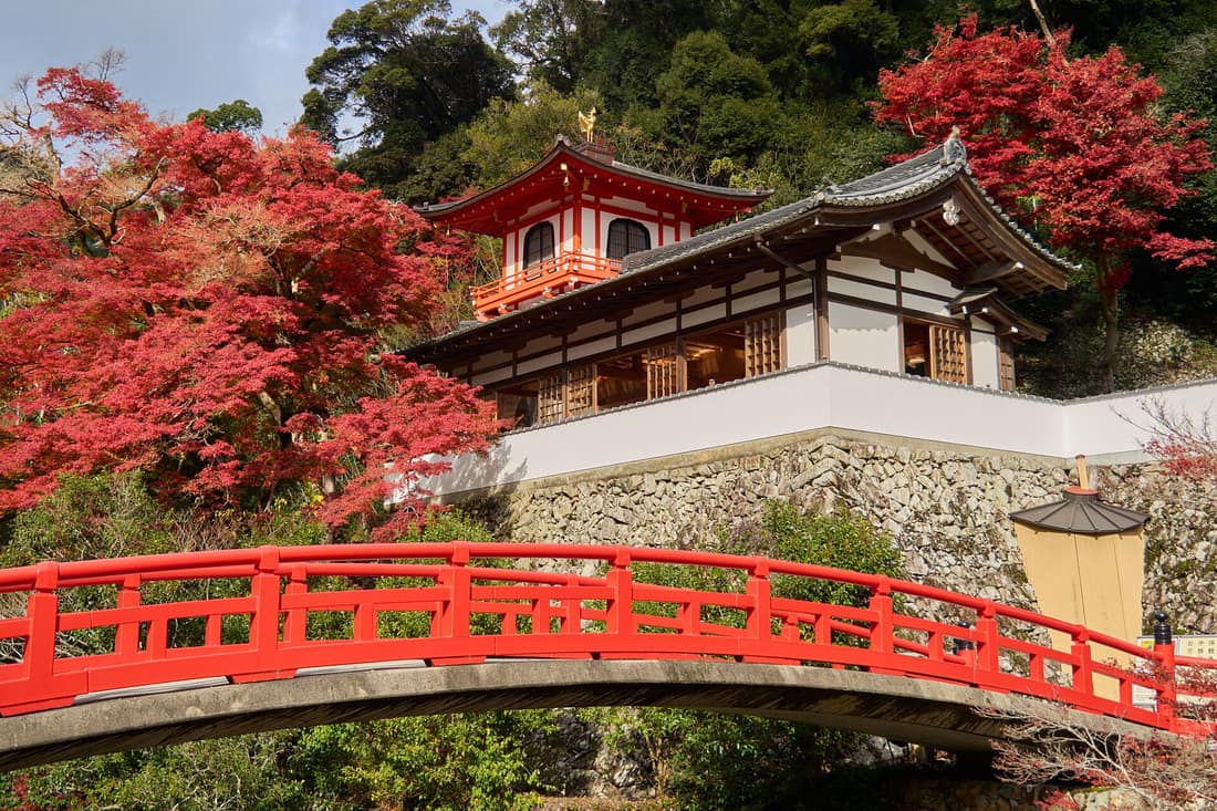瀧安寺的朱紅拱橋瑞雲橋，橋後方是白牆木格子窗的客殿與頂著金色鳳凰的朱紅鳳凰閣，兩側楓紅