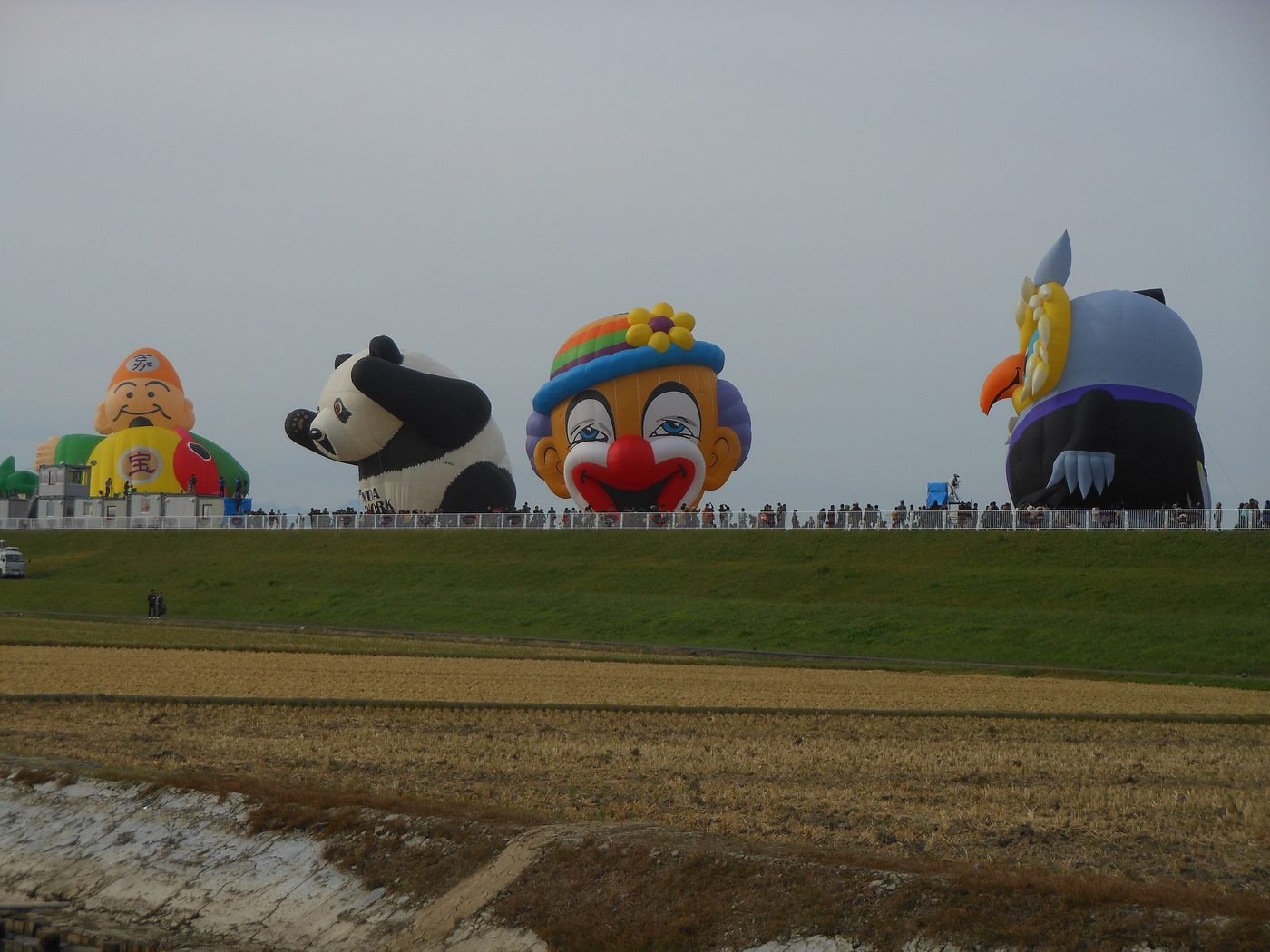 Four special-shape balloons standing on the riverbank behind a levee — a smiling god of fortune holding a sack, a crouching panda, a clown in a flowered hat and a black bird with a yellow beak — all inflated on the ground with spectators lining the white fence