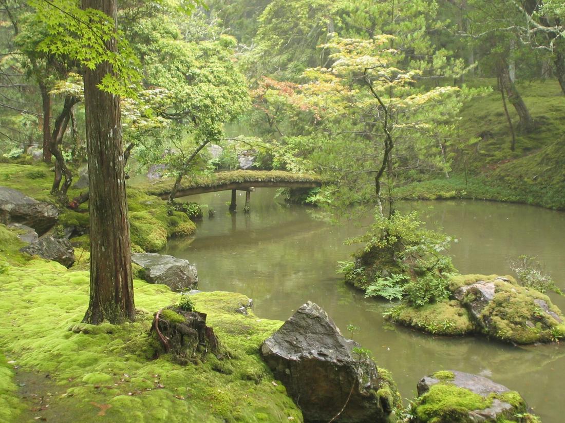 霧氣中的西芳寺黃金池:池上架著一座覆滿苔的小石橋,池邊的岩石、樹根與地面都蓋著綠苔,對岸有一株楓樹已帶紅橙色葉片
