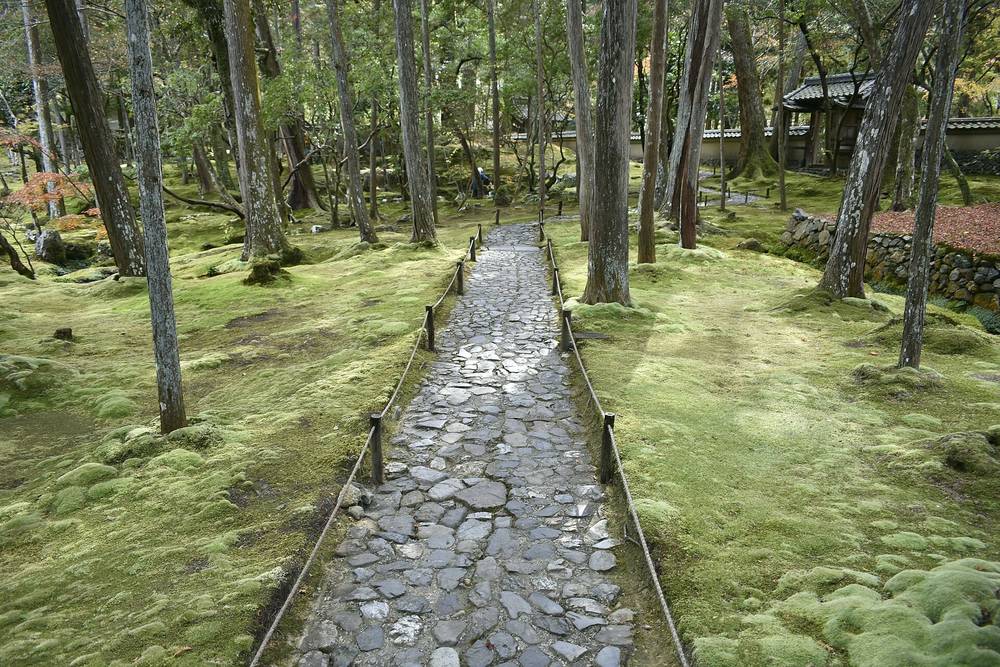 西芳寺下段庭園的園路:一條用大小不一的石塊鋪成的窄路穿過杉樹林,兩側用木樁和麻繩圍起,繩外是整片苔地,遠處有一道土牆與小門