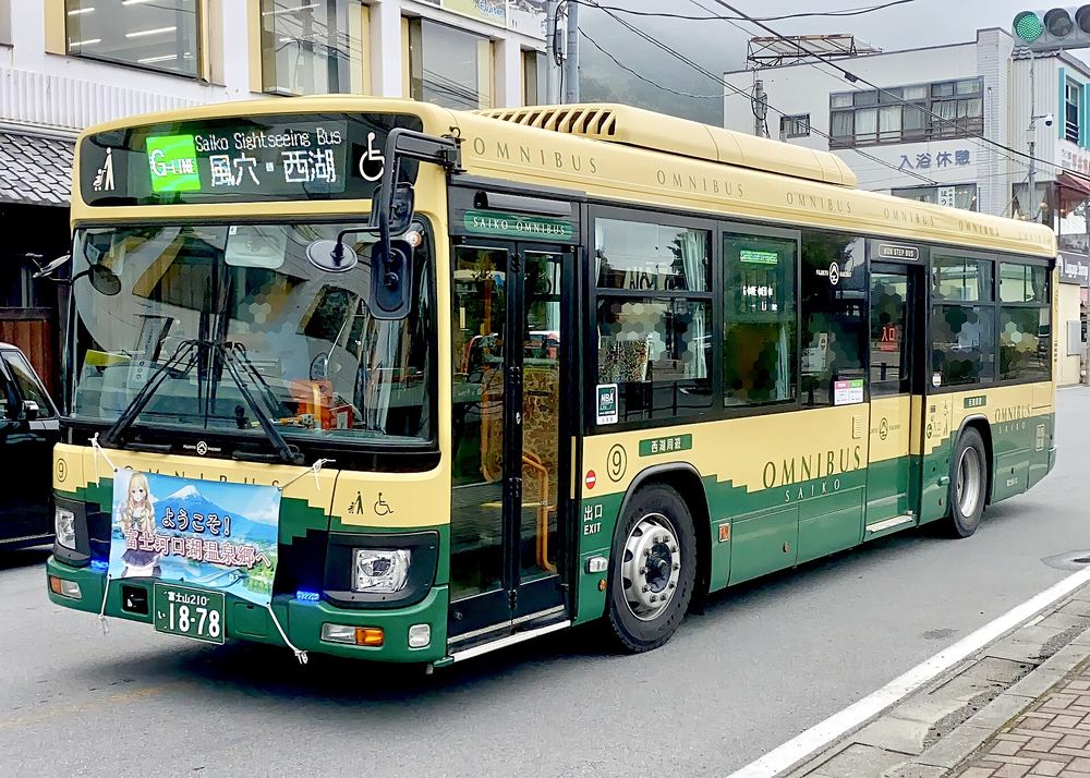 周遊巴士綠線:米黃與深綠雙色車身,側面寫 OMNIBUS SAIKO 與「西湖周遊」,車頭電子看板是綠底的「G-LINE」加「風穴・西湖」與 Saiko Sightseeing Bus