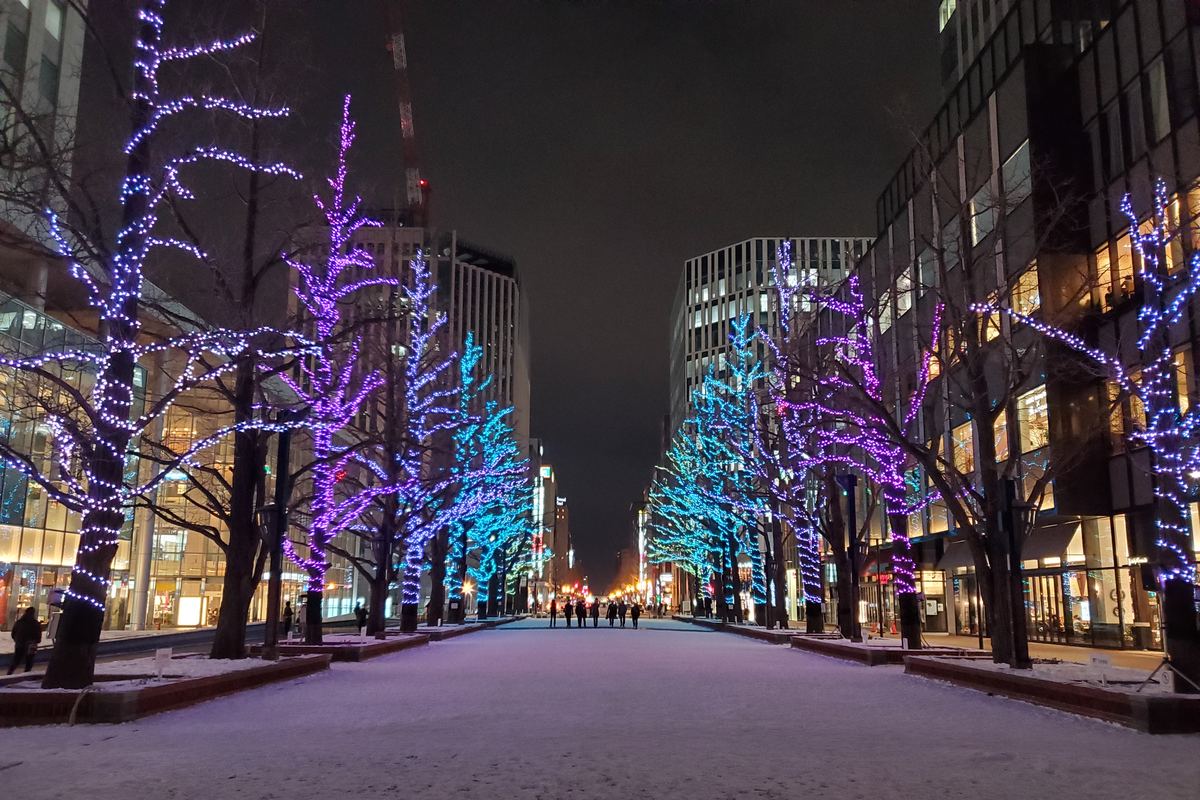 Sapporo Kita 3-jo Plaza (Akaplaza) at night in December 2019: a pedestrian plaza under a thin layer of snow, lined on both sides by rows of trees wrapped trunk to branch in purple and blue string lights, with glass office buildings on either side