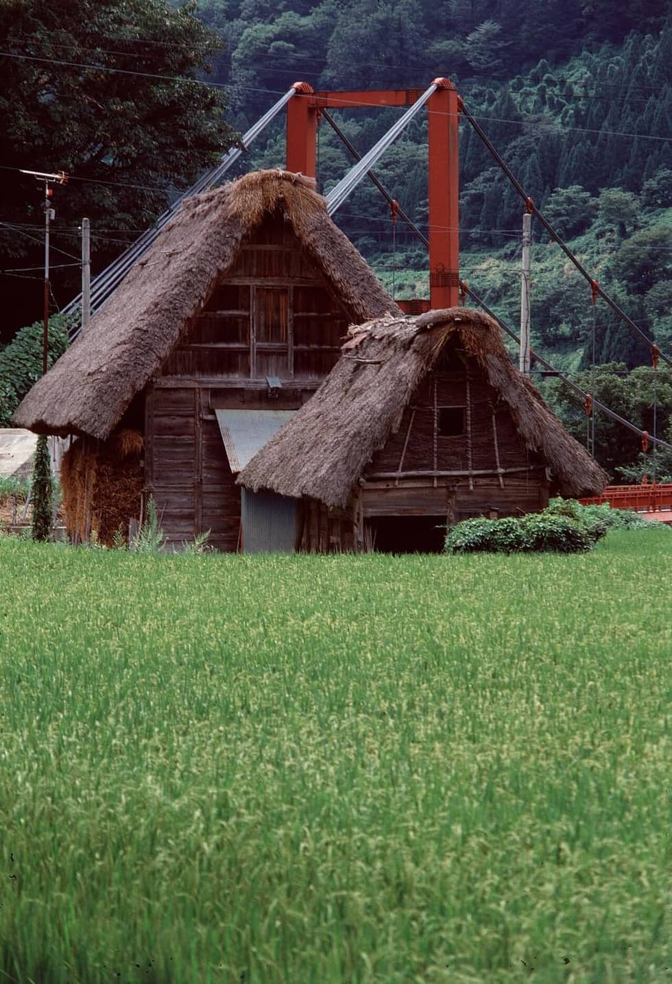 A quiet rural Japanese road between fields and hills — the kind of low-traffic route ideal for a first-time self-driver
