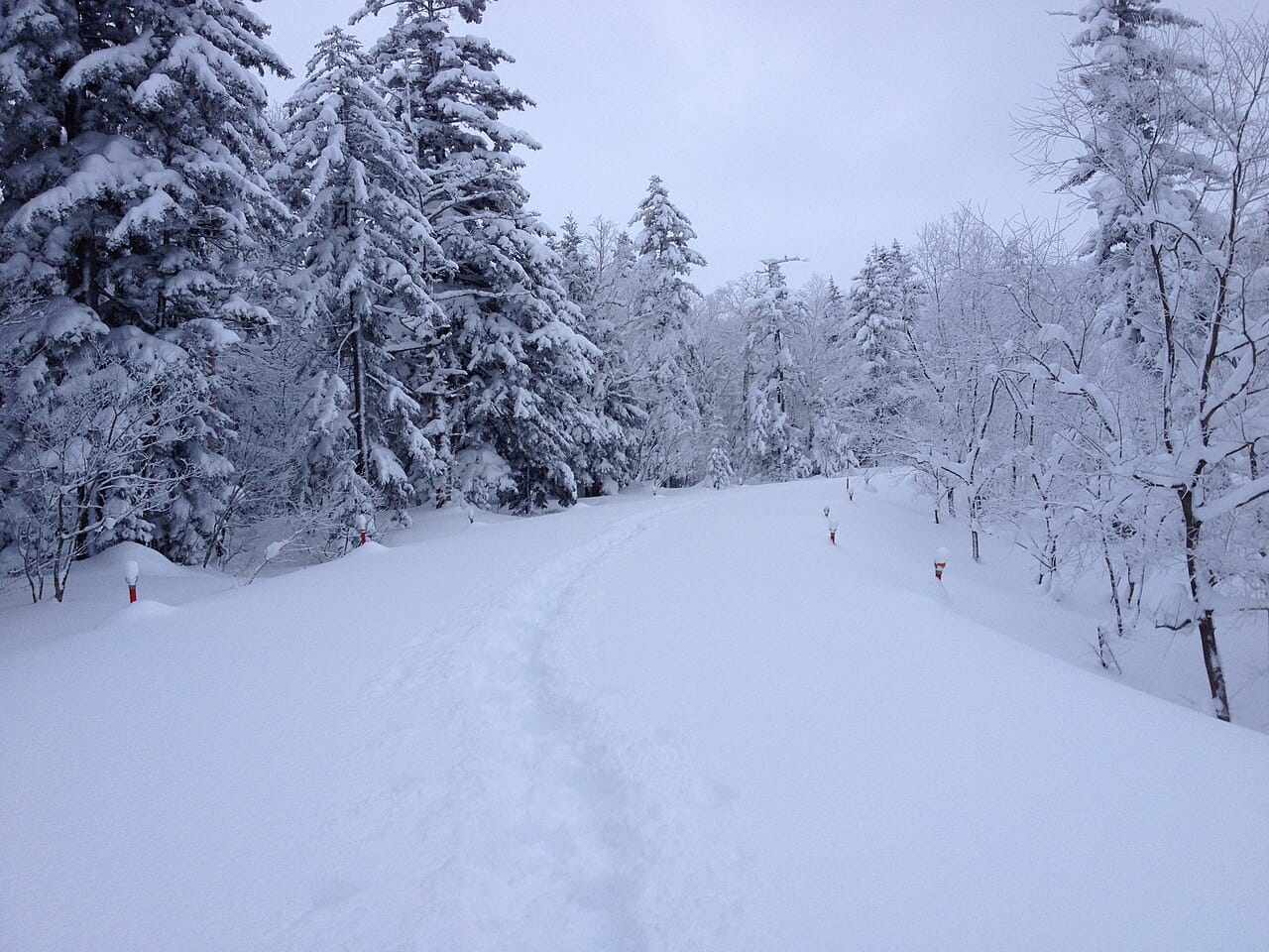 A snow-covered mountain road in winter Hokkaido