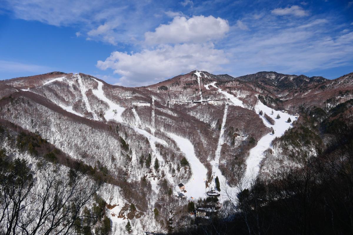 藍天下一整面積雪的山坡，好幾條白色雪道從山頂穿過落葉林往下延伸，山腳有幾棟小建築