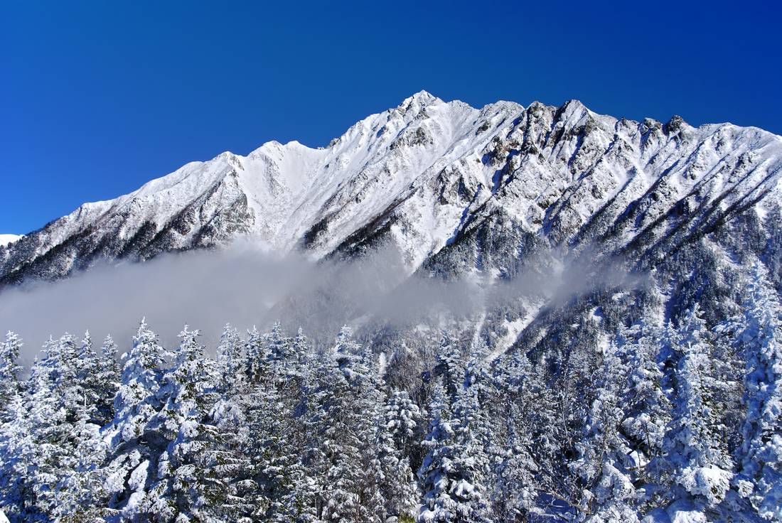 從西穗高口站看出去的西穗高岳,整面山稜覆雪、岩脊裸露,山腰橫著一條被風吹起的雲,前景是掛滿霧淞的針葉林