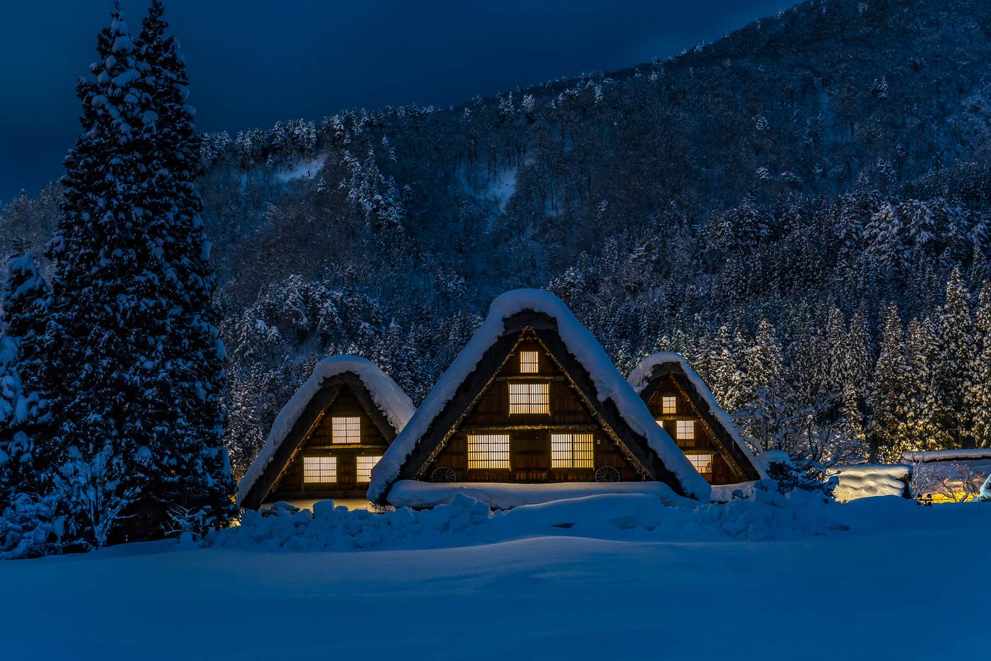 Three gassho-zukuri houses side by side on a snowy night, thick snow caps on the thatched roofs, warm amber light glowing out through the shoji windows while the roofs themselves stay unlit, untracked deep snow in front and a snow-covered cedar hillside behind