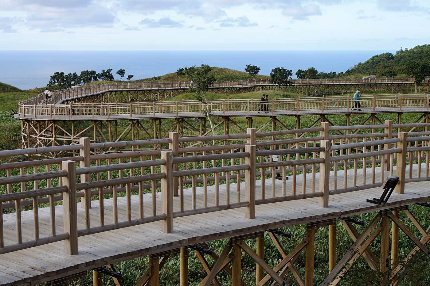 The elevated boardwalk at Shiretoko Five Lakes winding through bamboo-grass meadows towards the Sea of Okhotsk