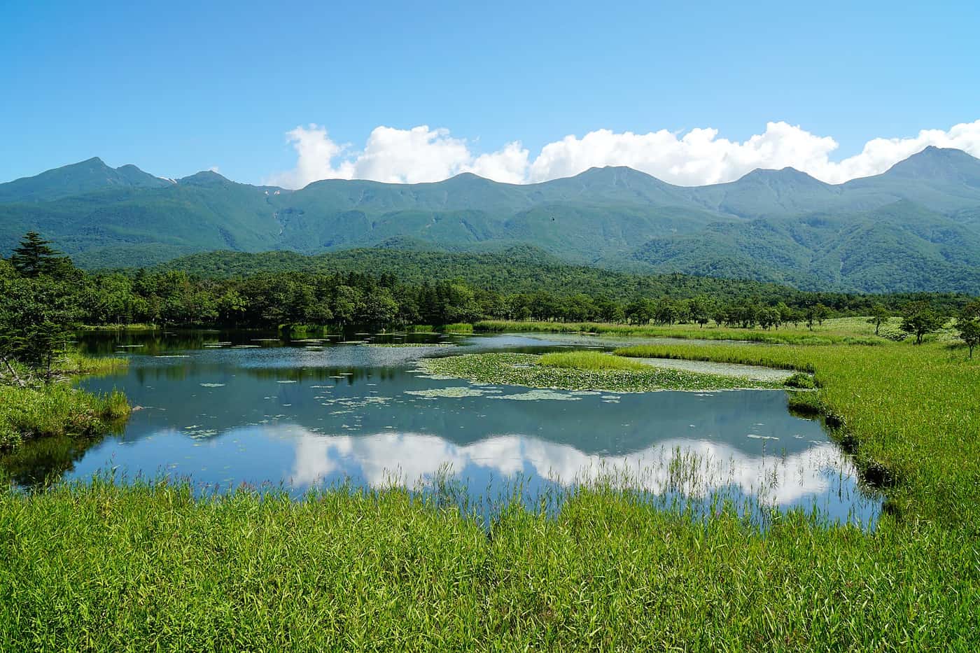Lake Ichiko at Shiretoko Five Lakes with water lilies and the Shiretoko mountain range behind