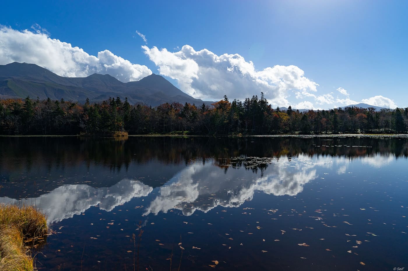 One of the Shiretoko Five Lakes reflecting the Shiretoko mountain range and surrounding old-growth forest