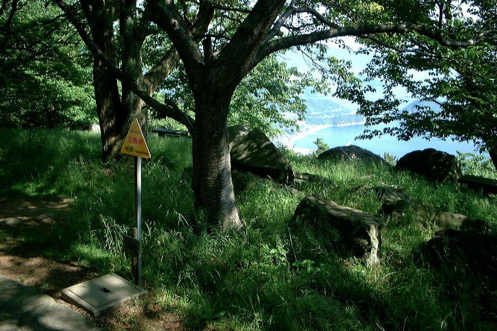 紫雲出山山頂的三角點：綠蔭下的草地上立著一面黃色三角形小牌，旁邊是幾棵粗幹的櫻花樹與散落的大石，樹縫間看得到藍色的海與白色沙灘