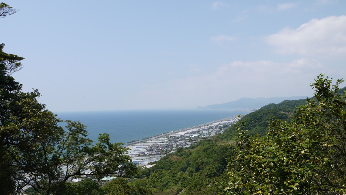 從久能山山腰往下看的駿河灣海岸:左邊是藍色海面,海岸線旁一長排白色溫室與民房沿著海邊延伸到遠方,右邊是長滿樹的山坡,天空有薄霧