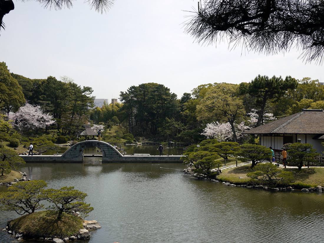 2013 年 4 月白天的縮景園:中央的池子上橫著一座石造拱橋,左岸與右側茅葺屋頂的建物旁各有幾棵盛開的櫻花,其餘是修剪過的松樹,橋上與岸邊有幾位遊客