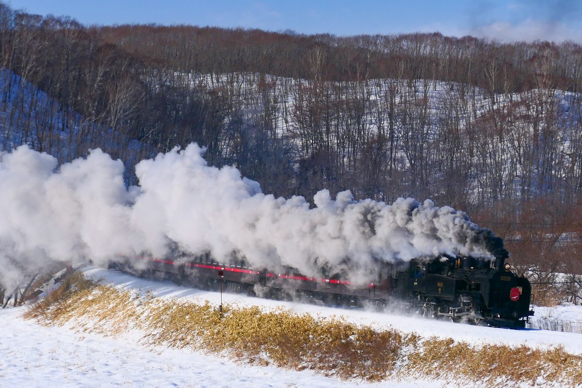 The SL Fuyu no Shitsugen crossing the snow-covered Kushiro wetlands, a black steam locomotive hauling passenger cars with white steam rising into a grey-blue sky above frozen marsh and dry reeds