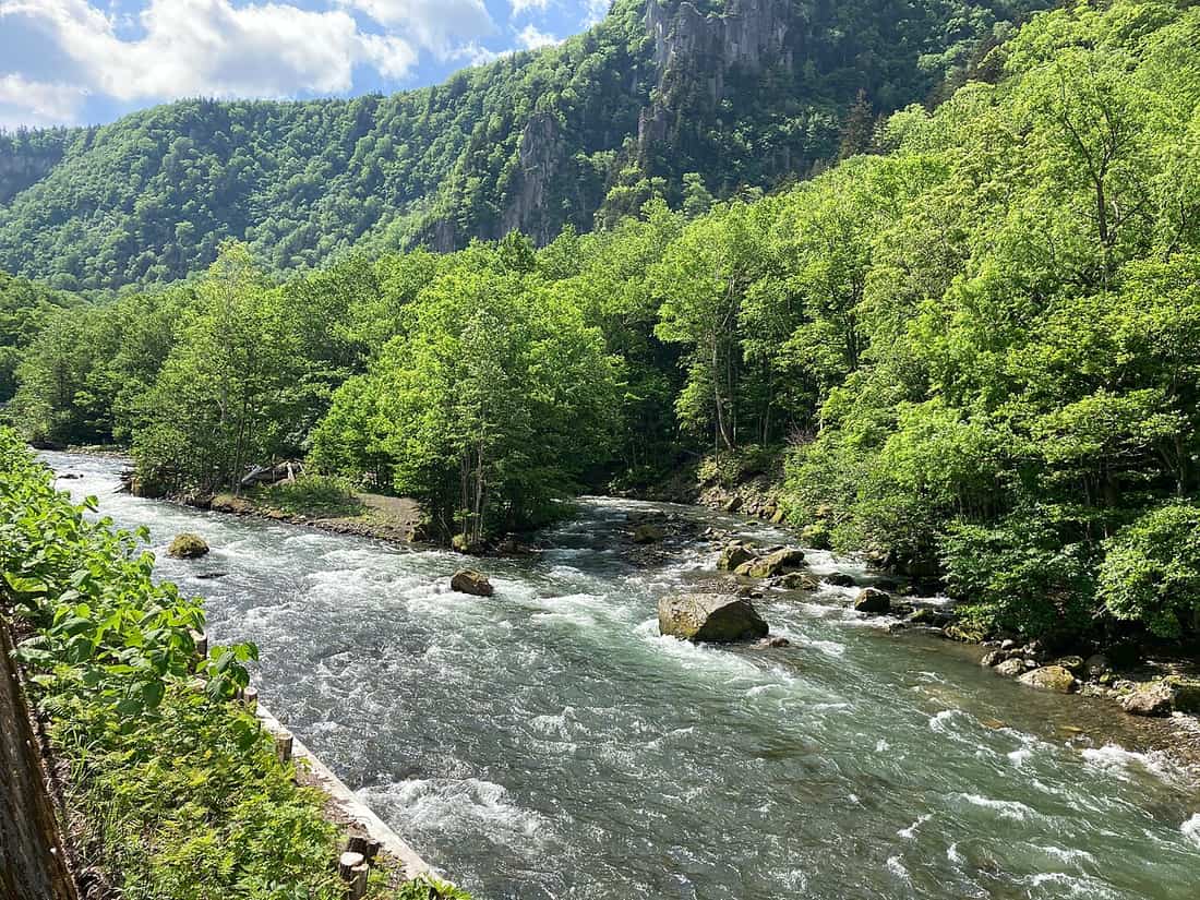 Ishikari River rapids running through fresh green forest in Sounkyo Gorge, with sheer cliff walls behind