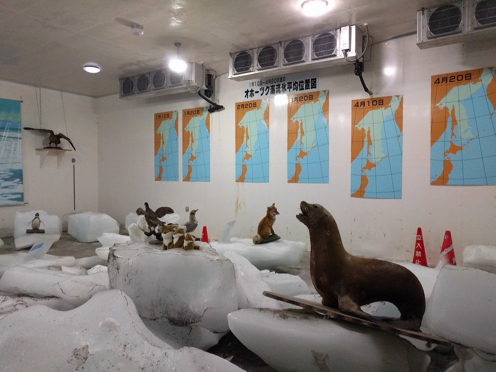 宗谷岬流氷館的冰室內部,地上堆滿大塊流冰,冰上擺著海獅、狐狸、海鳥等動物標本,牆上一排「1月10日~4月20日のオホーツク海流氷平均位置図」地圖,天花板裝著好幾台冷凍機
