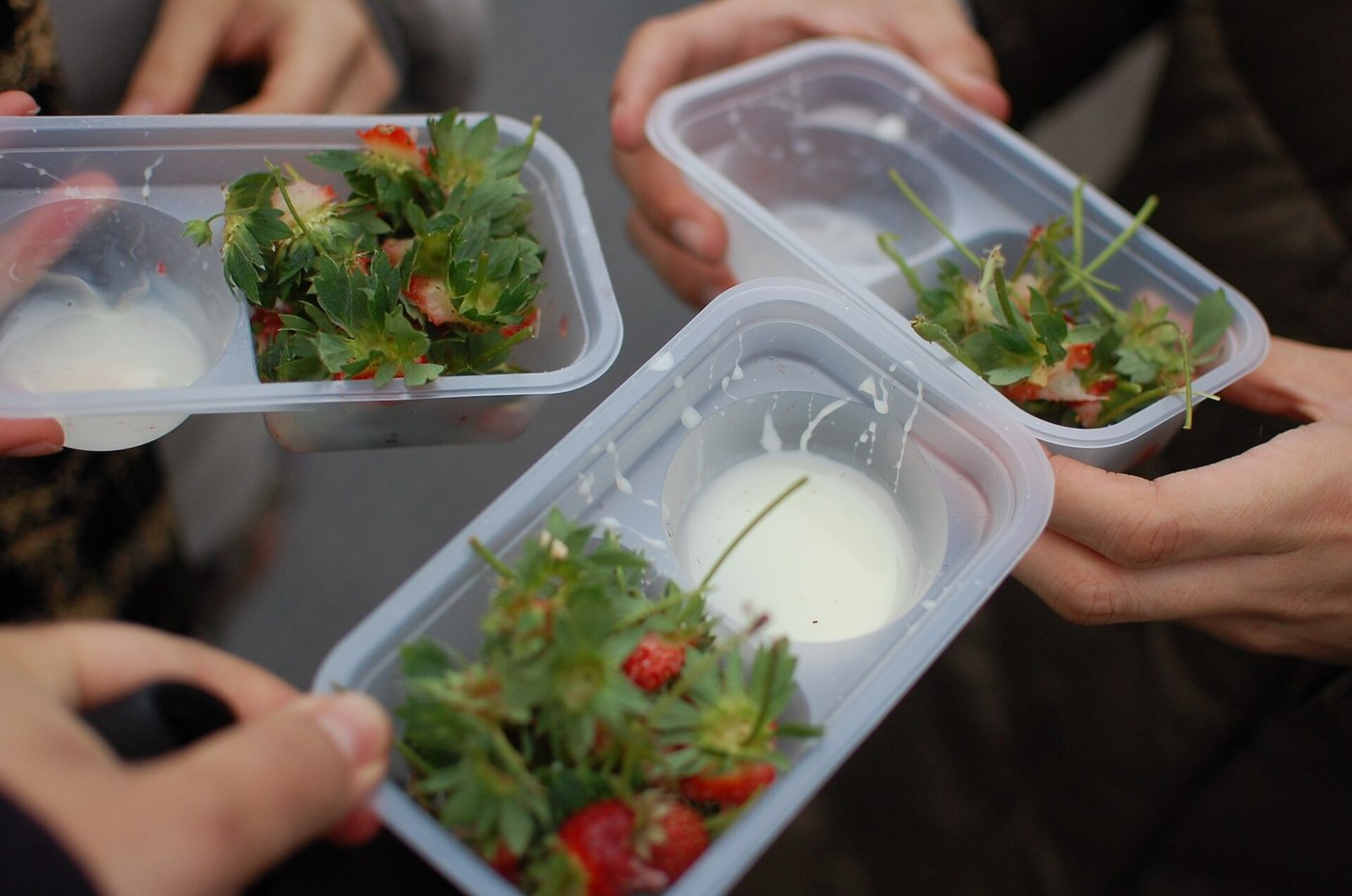 Three hands each holding a clear two-compartment plastic tray: one compartment holds a small cup of white condensed milk, the other is piled with the green hulls and calyxes left after eating the fruit, with condensed milk smeared around the rim